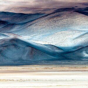 5lb label from live show